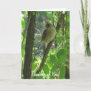 Pesquisar por cardeal fêmea cartoes Pensando em você