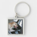 Pesquisar por labrador retriever chaveiros Animal