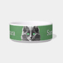 Pesquisar por olho de gato verde Para pets