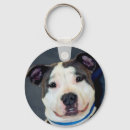 Pesquisar por terrier de staffordshire Canino