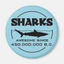 Pesquisar por shark imas Para todos