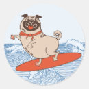 Pesquisar por surfboard adesivos Esporte aquático
