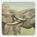 Pesquisar por elefante indiano adesivos Fauna