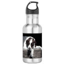 Pesquisar por inglesa garrafa agua Cão