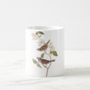 Pesquisar por pardal throated branco Audubon