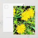 Pesquisar por pic cartoes postais Natureza