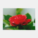 Pesquisar por de rosa vermelha tapetes Para todos