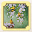 Pesquisar por mosquito o porta copos Mosquitos