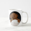 Pesquisar por poodle toy canecas Cachorro