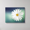 Pesquisar por plantas impressão de canvas Natureza