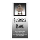 Pesquisar por animais de estimação panfletos Cliente