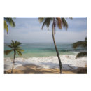 Pesquisar por dominicana pôsteres pósteres Hispaniola