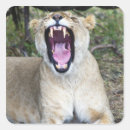 Pesquisar por masai adesivos Quênia