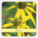 Pesquisar por inseto amarelo adesivos Natureza