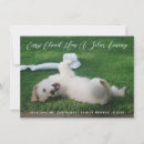 Pesquisar por do animal de estimação convites Para todos