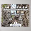 Pesquisar por baby pôsteres pósteres Qualquer pessoa