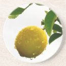 Pesquisar por molhado porta copos Gotas de chuva