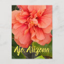 Pesquisar por flor do hibiscus cartoes postais Floral