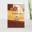 Pesquisar por august cartoes Birthday