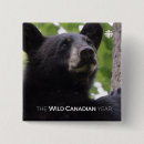 Pesquisar por urso preto botons Natureza