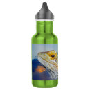 Pesquisar por lagarto garrafa agua Animal