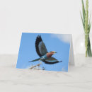 Pesquisar por kenya cartoes Safari