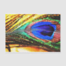 Pesquisar por pena papeis de seda Colorido