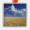 Pesquisar por trigo ornamentos Fazenda