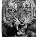 Pesquisar por desenho branco tigre Para todos