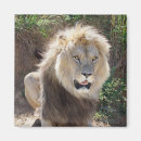 Pesquisar por de leo imas África