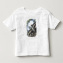 Pesquisar por lotor camisetas Guaxinim