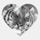 Pesquisar por natureza selvagem adesivos Tigre