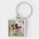 Pesquisar por bull terrier chaveiros Vista dianteira