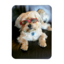 Pesquisar por com óculos imas Para todos