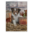 Pesquisar por sheltie cartoes postais Raça