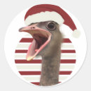 Pesquisar por avestruzes adesivos Para todos