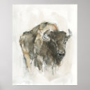 Pesquisar por oeste americano pôsteres pósteres Bison