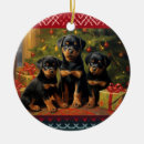 Pesquisar por podre ornamentos Cão