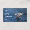 Pesquisar por aviário cartao de visita Aves