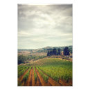Pesquisar por vinhedo Toscânia