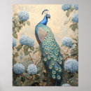 Pesquisar por pavão pósteres Natureza