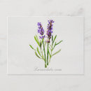 Pesquisar por flores pintadas cartoes postais Qualquer pessoa