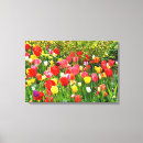 Pesquisar por misturado impressão de canvas Flores