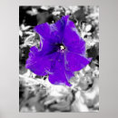 Pesquisar por febre pósteres Floral