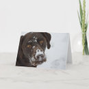 Pesquisar por amante labrador cartoes Veterinário
