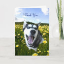 Pesquisar por husky siberiano cartoes Rouco