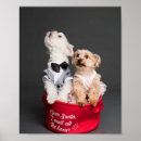 Pesquisar por ossos de cão pôsteres pósteres Qualquer pessoa