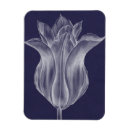 Pesquisar por tulips imas Flores