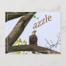 Pesquisar por upload cartoes postais Qualquer pessoa