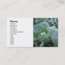 Pesquisar por mercearia cartao de visita Verde